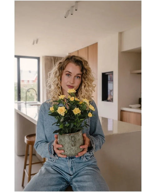 Eine Frau mit lockigen blonden Haaren, gekleidet in Jeanskleidung, sitzt mit der Kunstpflanze Mini Rose UV 35 cm gelb in den Händen in einer modernen Küche und blickt direkt in die Kamera.