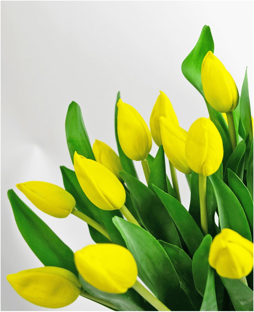 Künstlicher Blumenstrauß Tulpen in Vase Gelb 45 cm