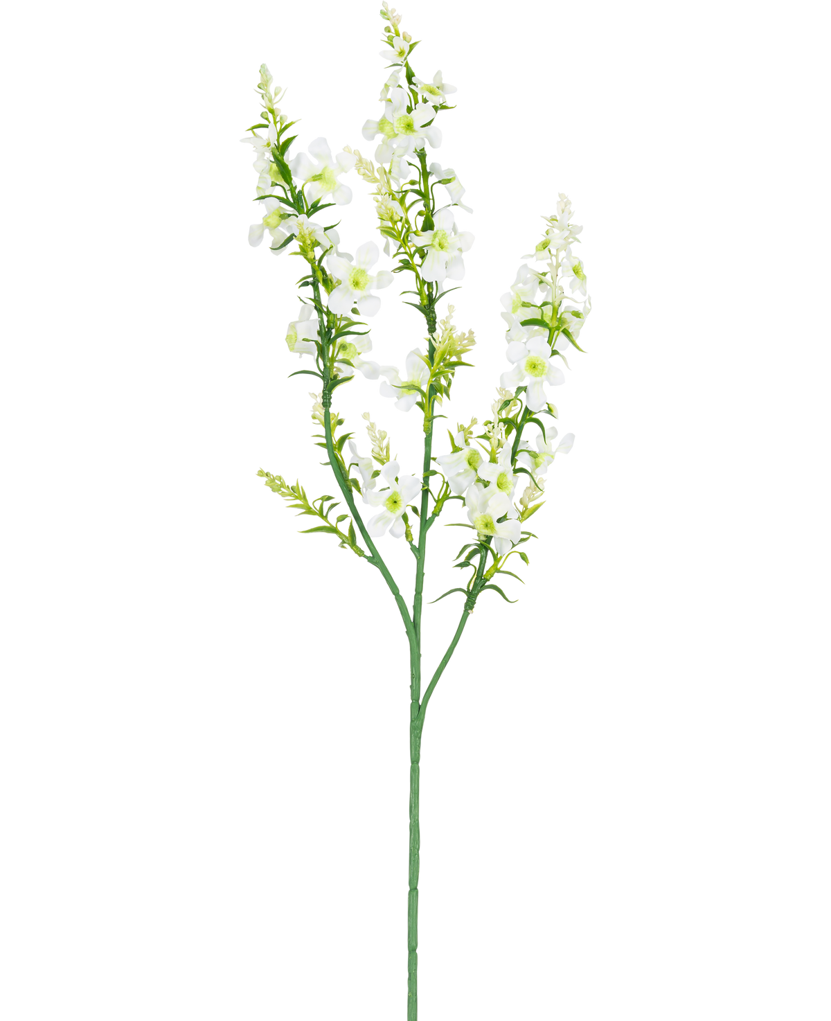 Die künstliche Blumenkatzenminze 75 cm weiß hat einen einzelnen grünen Stiel mit mehreren Zweigen kleiner weißer Blüten und gelbgrüner Knospen, isoliert auf weißem Hintergrund.