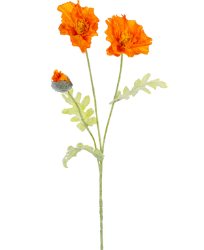 Eine botanische Illustration des künstlichen Blumenmohns 73 cm orange zeigt zwei offene orangefarbene Blüten und eine geschlossene Knospe an langen grünen Stielen mit hellgrünen, tief gelappten Blättern.