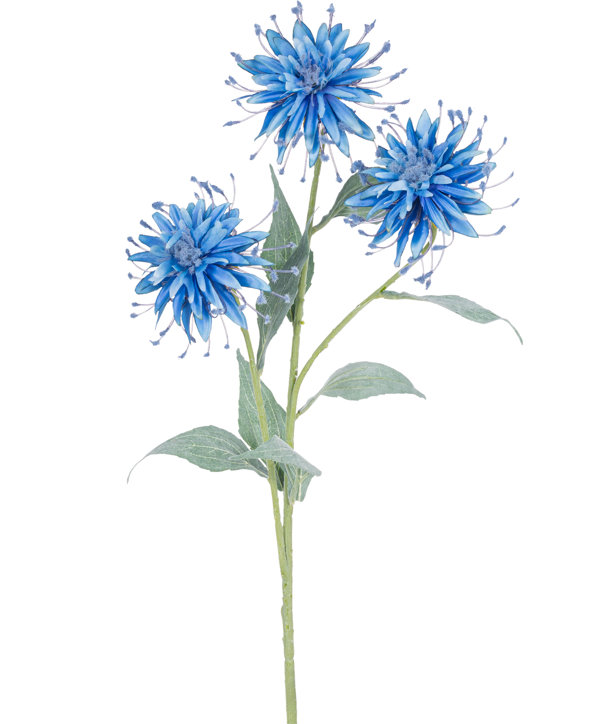 Die Kunstblume Scabiosa Japonica 70 cm blau hat einen einzelnen grünen Stiel mit drei blauen, dünnen Kunstblumen und mehreren grünen Blättern vor einem schlichten weißen Hintergrund.