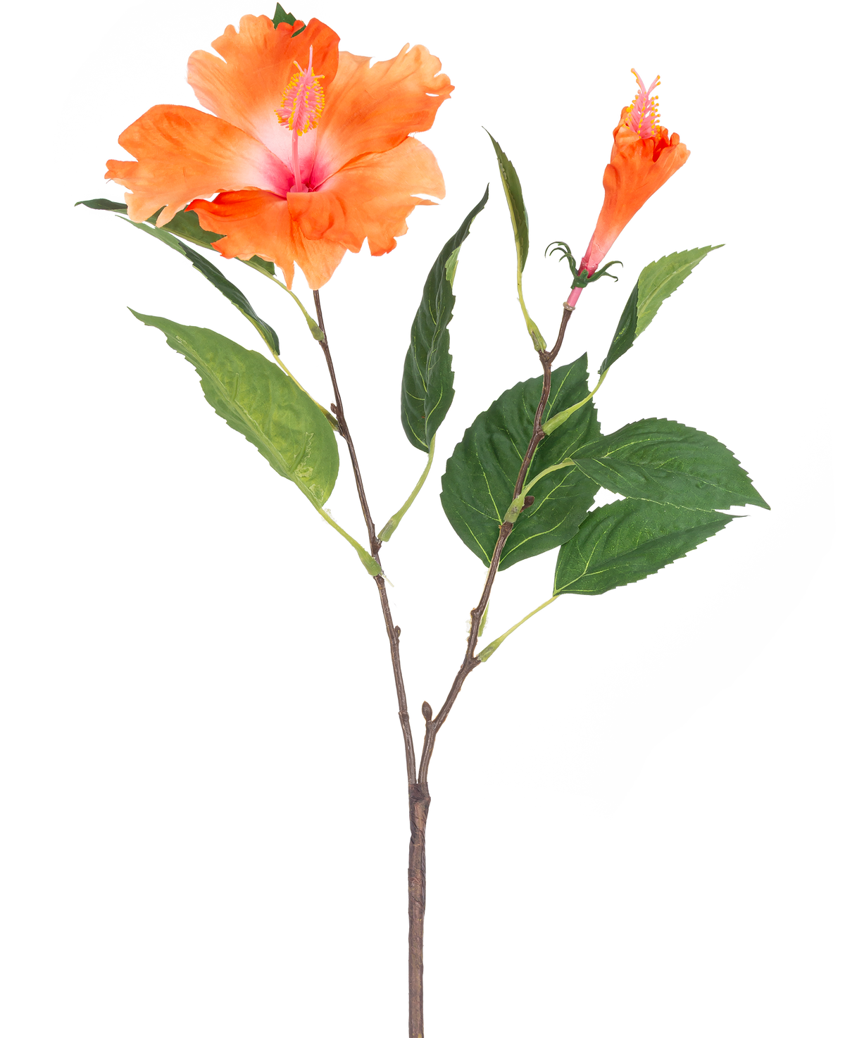 Die künstliche Hibiskusblume 64 cm orange hat einen einzelnen Stiel mit grünen Blättern und zwei orangefarbenen Blüten, eine voll erblüht und eine in Knospenform, auf weißem Hintergrund.