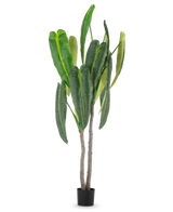 Die Kunstpflanze Anthurium 210 cm hat hohe, sattgrüne Blätter und zwei braune Stängel in einem kleinen schwarzen Topf vor einem schlichten weißen Hintergrund.