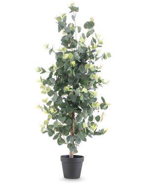 Die Kunstpflanze Eukalyptus 91 cm hat hohe, realistische runde grüne Blätter und kleine gelbe Knospen in einem schwarzen Topf vor einem schlichten weißen Hintergrund.