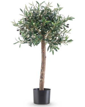 Der künstliche Olivenbaum UV 85 cm hat einen geraden Stamm, dichte grüne Blätter und kleine schwarze Oliven. Diese pflegeleichte Kunstpflanze im schwarzen Topf bleibt immer schön und eignet sich dank ihrer UV-Beständigkeit perfekt für den Innen- und Außenbereich.