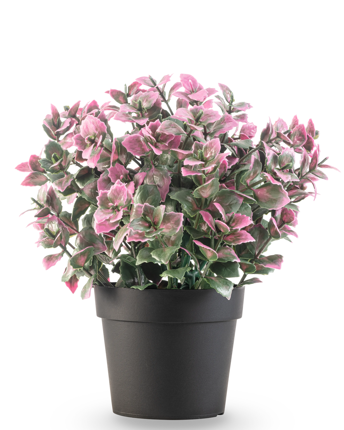 Die künstliche Pflanze Eukalyptus lila im Topf UV 22 cm hat lila Eukalyptusblätter in einem dunklen Topf vor einem schlichten weißen Hintergrund.