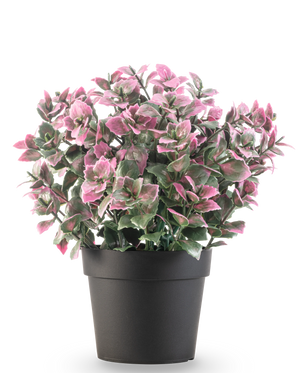 Die künstliche Pflanze Eukalyptus lila im Topf UV 22 cm hat lila Eukalyptusblätter in einem dunklen Topf vor einem schlichten weißen Hintergrund.