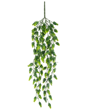 Die künstliche Hängepflanze Hopfen UV 80 cm ist eine hängende Kunstpflanze mit kaskadierenden grünen Blättern an langen, schlanken Stielen, isoliert auf weißem Hintergrund.