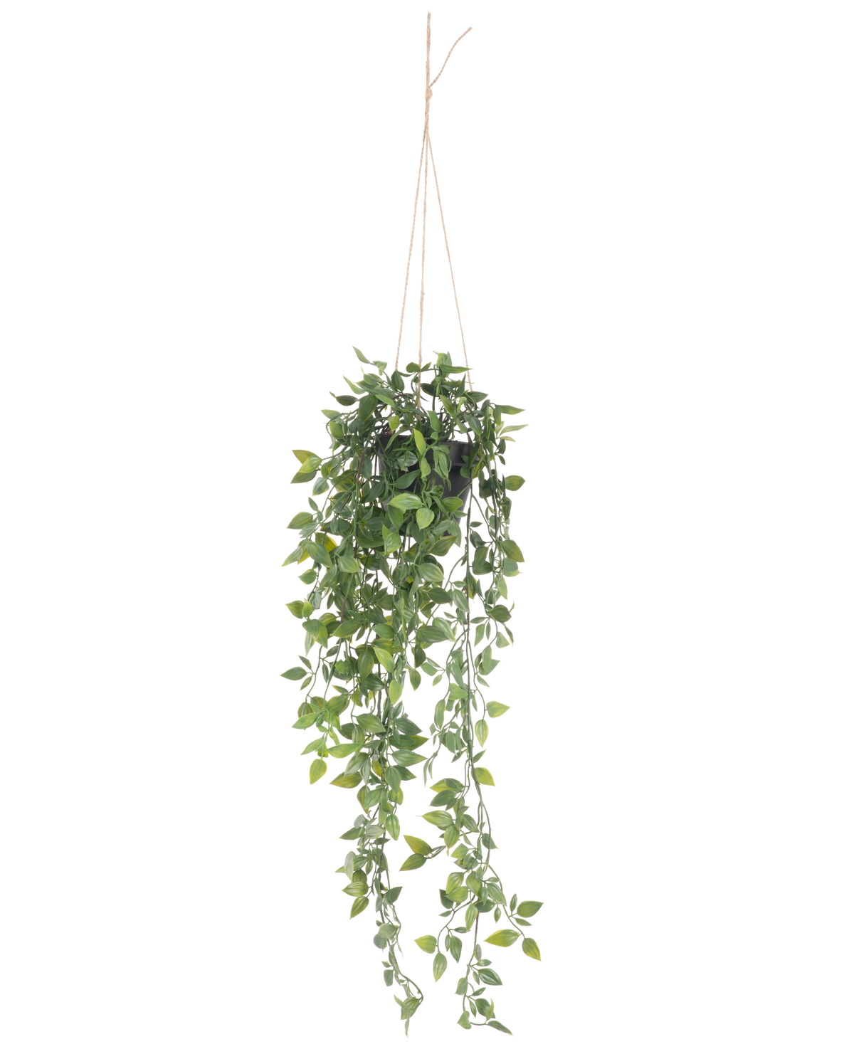Die künstliche Hängepflanze Scindapsus im Topf 73 cm hat sattgrüne Blätter und lange, gewundene Ranken, die an einem dünnen Seil vor einem schlichten weißen Hintergrund aufgehängt sind.