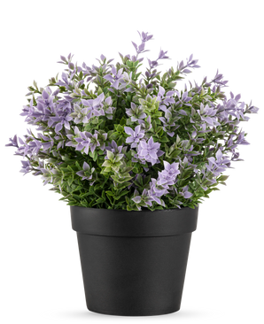 Die Kunstpflanze Buxus lila UV 22 cm hat einen schwarzen Blumentopf mit einer üppigen Kunstpflanze mit kleinen hellvioletten Blüten und grünen Blättern vor einem schlichten weißen Hintergrund.