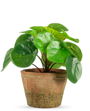 Die Kunstpflanze Pilea im Topf Mini UV 15 cm hat runde, glänzend grüne Blätter in einem verwitterten braunen Terrakottatopf vor einem schlichten weißen Hintergrund.