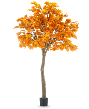 Der künstliche Baumahorn 280 cm ist ein hoher künstlicher Ahorn mit leuchtend orangefarbenen Herbstblättern in einem schwarzen Topf, isoliert auf einem weißen Hintergrund.