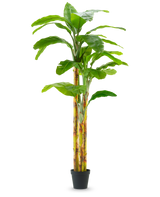 Der künstliche Bananenbaum 270 cm hat breite grüne Blätter und gelbgrüne Stiele in einem kleinen schwarzen Topf vor einem schlichten weißen Hintergrund.
