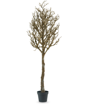 Der Dekobaum Art mit Ästen 180 cm ist ein kahler, blattloser Baum mit vielen Ästen in einem schwarzen Kunststofftopf vor einem schlichten weißen Hintergrund.
