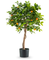 Der künstliche Orangenbaum 90 cm ist ein im Topf gepflanzter Orangenbaum mit gedrehtem Stamm, sattgrünen Blättern und kleinen orangefarbenen Früchten vor einem schlichten weißen Hintergrund.