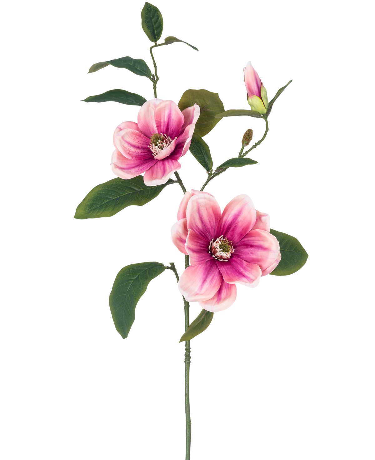 Die Kunstblume Magnolie 82 cm rosa/weiß hat einen einzelnen Stiel mit zwei großen rosa-weißen Magnolienblüten, einer Knospe und mehreren dunkelgrünen Blättern vor einem schlichten weißen Hintergrund.