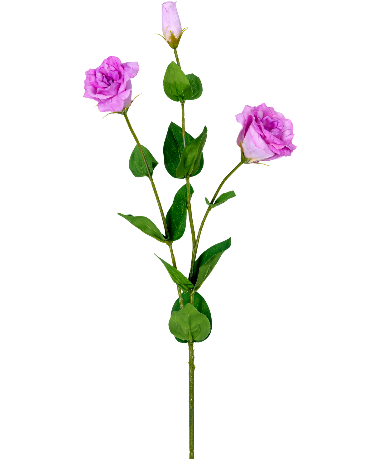 Die künstliche Eustoma Real Touch Pink 72 cm hat einen einzelnen grünen Stiel mit drei hellvioletten Kunstrosen in verschiedenen Blütestadien und verschiedenen grünen Blättern, dargestellt auf einem weißen Hintergrund.
