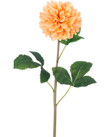 Die künstliche Blumen-Dahlie Real Touch Peach 73 cm hat eine einzelne pfirsich-orangefarbene Dahlie mit vielen Blütenblättern an einem langen grünen Stiel und mehreren großen grünen Blättern mit Textur vor einem schlichten weißen Hintergrund.