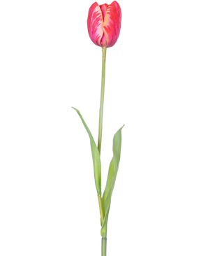 Eine einzelne künstliche französische Tulpe, 60 cm, rot, mit leuchtend roten Blütenblättern und grünen Blättern an einem Stiel, vor einem weißen Hintergrund.