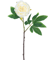 Künstliche Blume Pfingstrose 61 cm weiß: eine einzelne weiße Pfingstrose mit geschichteten Blütenblättern, grünen Blättern und einem langen braunen Stiel, isoliert auf weißem Hintergrund.