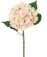 Die künstliche Blumenhortensie Real Touch Pink 58 cm ist ein einzelner künstlicher Hortensienstiel mit zartrosa Blütenblättern und zwei großen grünen Blättern, der sich perfekt zur Dekoration eignet und vor einem weißen Hintergrund präsentiert wird.