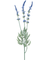 Eine botanische Illustration des künstlichen Lavendelzweigs 66 cm blau zeigt drei lange, dünne Stiele mit kleinen blauen Blütenbüscheln und länglichen grünen Blättern vor einem weißen Hintergrund.