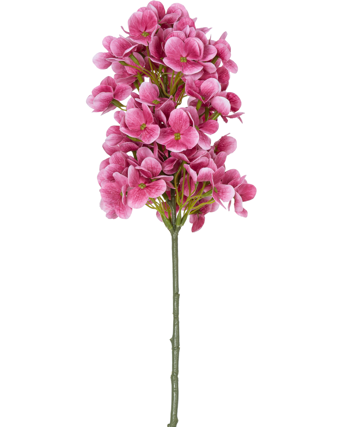 Ein einzelner Stiel des künstlichen Blumenschneeballs Real Touch Pink 58 cm, mit Büscheln leuchtend rosa künstlicher hortensienähnlicher Blüten mit einem grünen Herzen, isoliert auf weißem Hintergrund.