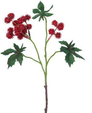 Der künstliche Zweig Ricinus 43 cm weinrot hat einen Zweig einer Rizinuspflanze mit stacheligen weinroten Samenkapseln und großen, grünen, sternförmigen Blättern auf weißem Hintergrund.