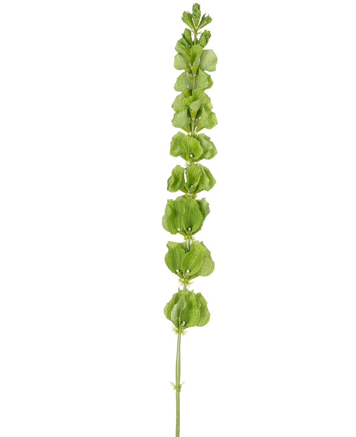 Die künstlichen Blumenglocken aus Irland (98 cm) haben einen einzelnen aufrechten grünen Stiel mit mehreren runden grünen Blättern oder Hochblättern, die gleichmäßig über die Länge verteilt sind, auf einem schlichten weißen Hintergrund.