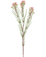 Der künstliche Zweig Wachsblume 78 cm rosa hat einen einzelnen Stiel mit dünnen grünen Blättern und mehreren Büscheln kleiner, hellrosa Blüten an der Spitze vor einem weißen Hintergrund.