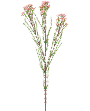 Der künstliche Zweig Wachsblume 78 cm rosa hat einen einzelnen Stiel mit dünnen grünen Blättern und mehreren Büscheln kleiner, hellrosa Blüten an der Spitze vor einem weißen Hintergrund.