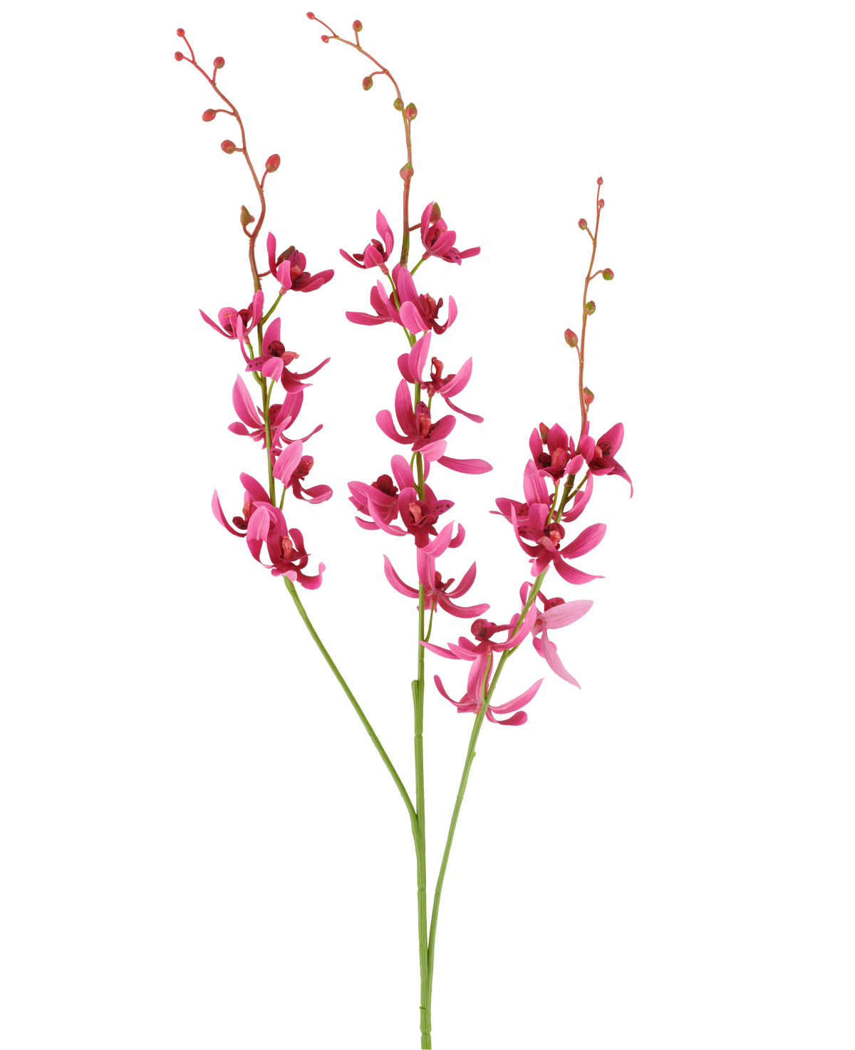 Drei Stängel der künstlichen Cymbidium-Blume von 95 cm in Burgunderrot, mit leuchtenden Blüten und kleinen Knospen, dargestellt vor einem weißen Hintergrund.