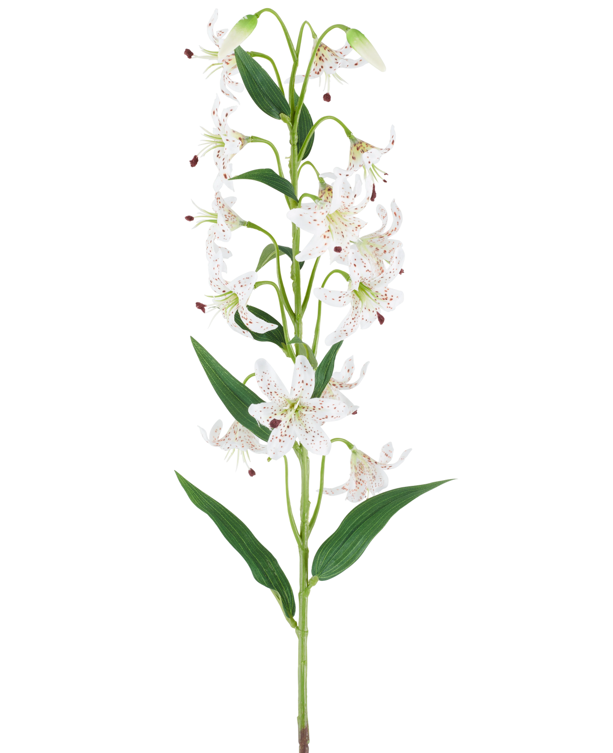 Ein langer grüner Stiel mit mehreren cremefarbenen und braunen künstlichen Lilien, jeweils mit länglichen grünen Blättern, präsentiert vor einem weißen Hintergrund – Künstliche Blumenlilie 82 cm creme/braun.