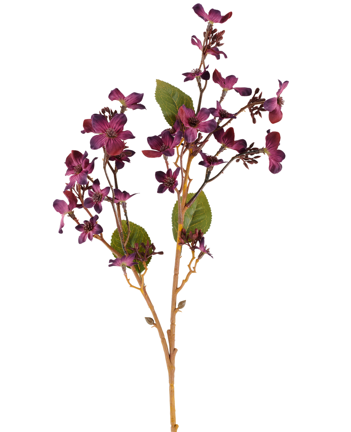 Eine künstliche Blume Vernicia Fordii von 63 cm in Burgunderrot, mit Büscheln kleiner, dunkelvioletter Blüten und grünen Blättern auf schlanken, hellbraunen Stielen, dargestellt vor einem weißen Hintergrund.