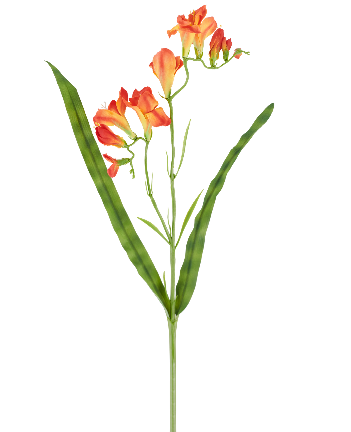 Ein einzelner Stiel der künstlichen Blumen-Freesie 56 cm orange, mit langen, schmalen grünen Blättern und mehreren blühenden orangefarbenen Freesienblüten an der Spitze, abgebildet vor einem weißen Hintergrund.