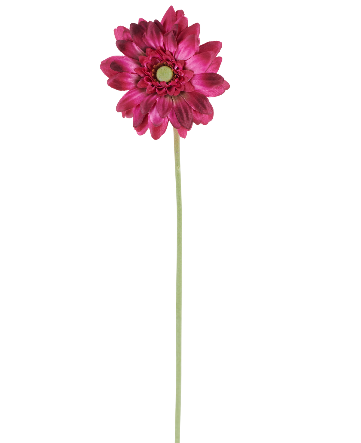 Eine einzelne künstliche Blumen-Mini-Gerbera von 47 cm in Dunkelrosa mit geschichteten Blütenblättern und einem grünen Herzen auf einem langen, schlanken grünen Stiel, isoliert vor einem weißen Hintergrund.