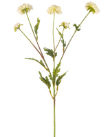 Die künstliche Blumen-Pompon-Chrysantheme 69 cm creme/rosa hat einen grünen Stiel, der sich in fünf kleinere Stiele verzweigt, die jeweils mit einer runden cremerosa Blüte gekrönt und von gezackten grünen Blättern umgeben sind, alles vor einem schlichten weißen Hintergrund.