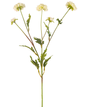 Die künstliche Blumen-Pompon-Chrysantheme 69 cm creme/rosa hat einen grünen Stiel, der sich in fünf kleinere Stiele verzweigt, die jeweils mit einer runden cremerosa Blüte gekrönt und von gezackten grünen Blättern umgeben sind, alles vor einem schlichten weißen Hintergrund.