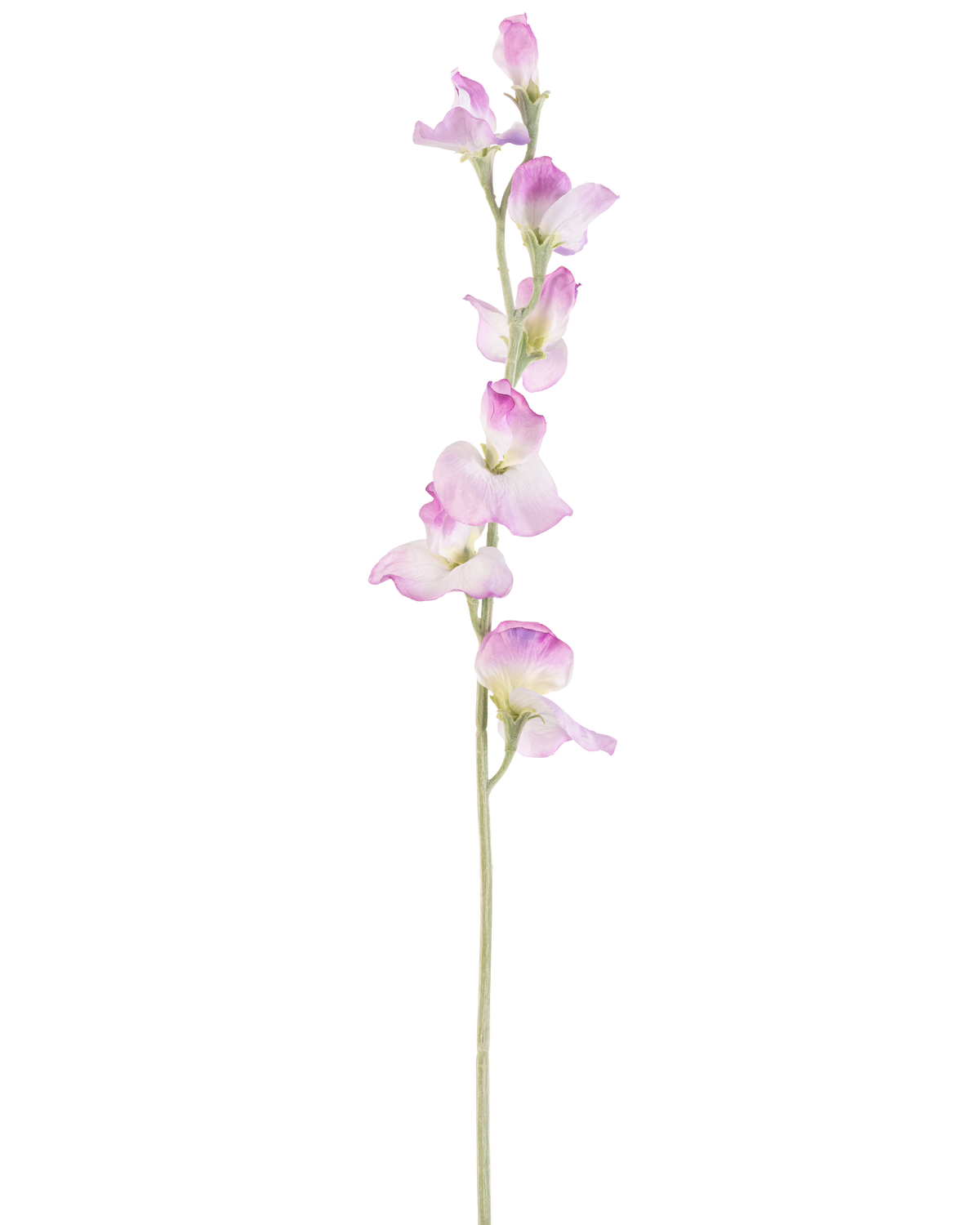 Eine einzelne lange künstliche Erbsenblume mit einem violetten Stiel von 64 cm und zarten violetten Blüten, die vertikal angeordnet sind, vor einem schlichten weißen Hintergrund.
