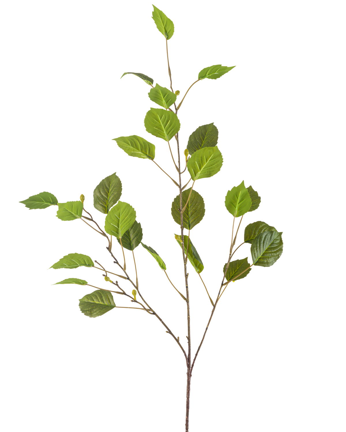 Der künstliche Zweig 118 cm grün ist ein einzelner dünner Zweig mit mehreren grünen Blättern und kleinen Knospen, isoliert auf einem weißen Hintergrund.
