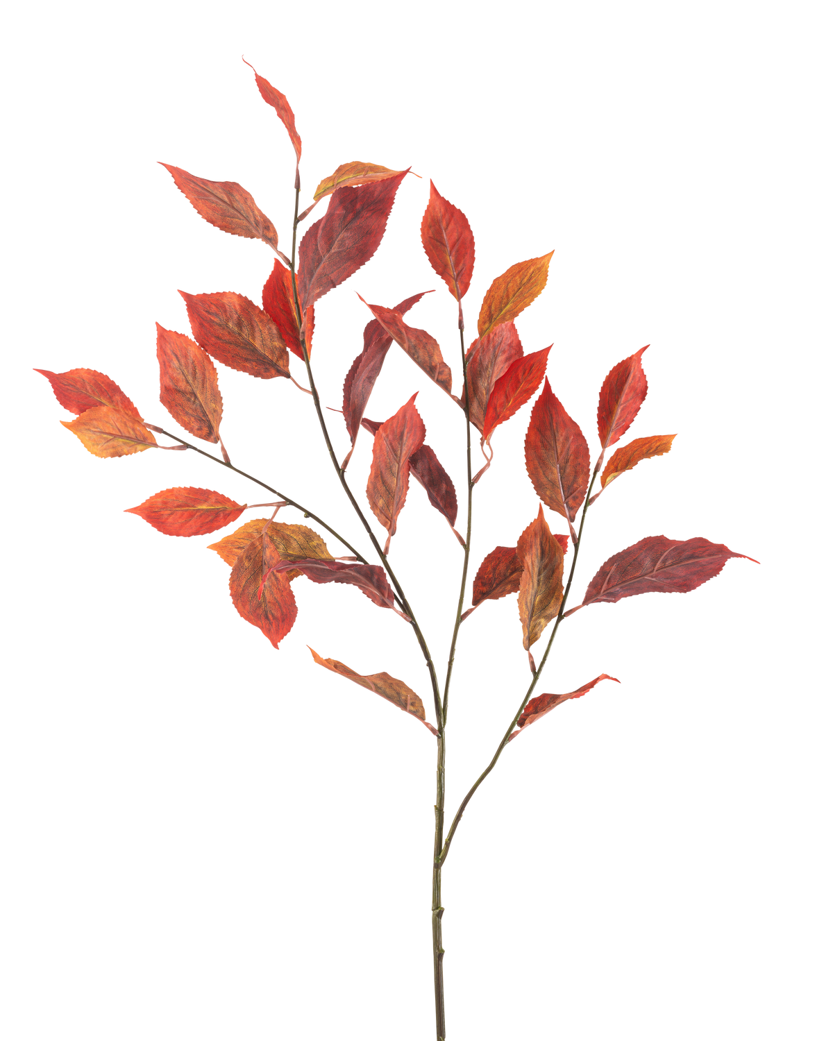 Das künstliche Blumen-Ulmenblatt 113 cm rot hat mehrere dünne Stiele mit leuchtend roten und orangefarbenen Herbstblättern, isoliert auf einem weißen Hintergrund.