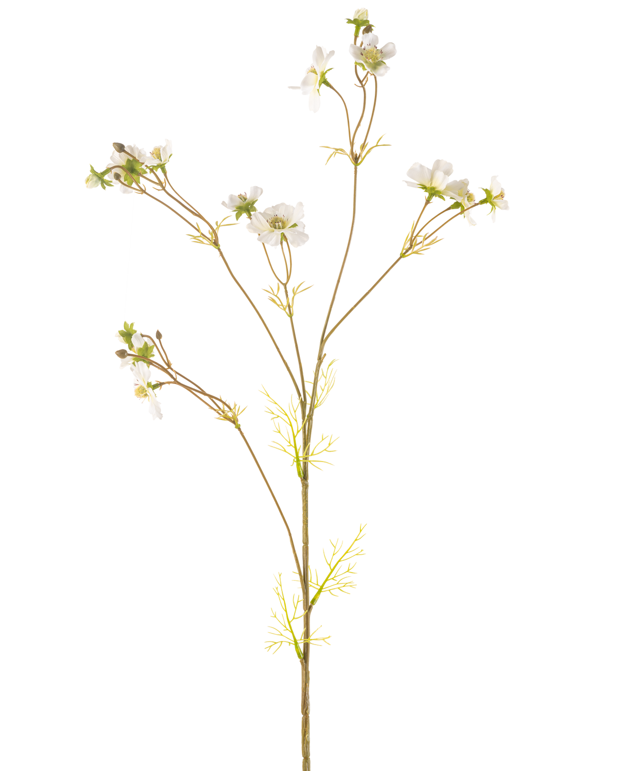 Die cremefarbene Kunstblume Cosmos 95 cm ist eine hohe, zarte Kunstpflanze mit dünnen Stielen, kleinen grünen Blättern und Büscheln kleiner weißer Blüten mit einem gelben Herzen, dargestellt vor einem schlichten weißen Hintergrund.