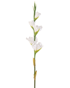 Die künstliche Gladiole 83 cm weiß ist ein einzelner künstlicher weißer Gladiolenstiel mit mehreren Blüten und grünen Knospen, der aufrecht vor einem schlichten weißen Hintergrund steht.
