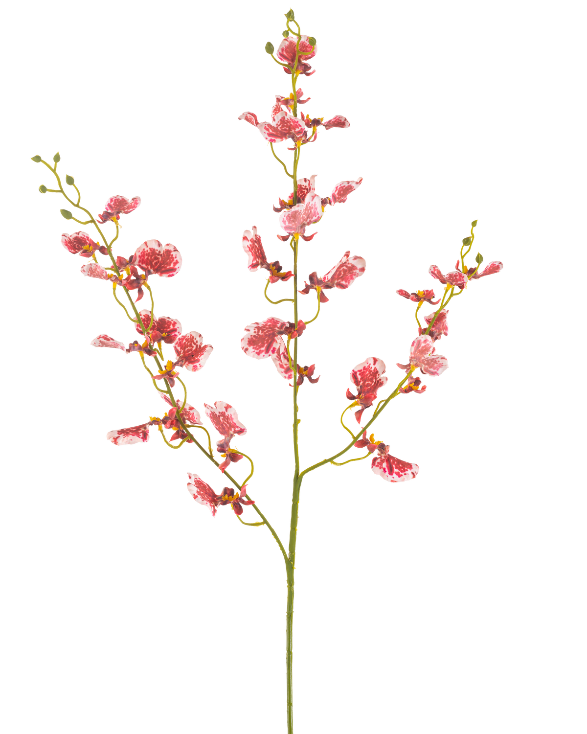 Eine einzelne rote künstliche Blumenorchidee 98 cm mit mehreren Zweigen, jeder mit Büscheln leuchtender Blüten, vor einem schlichten weißen Hintergrund.