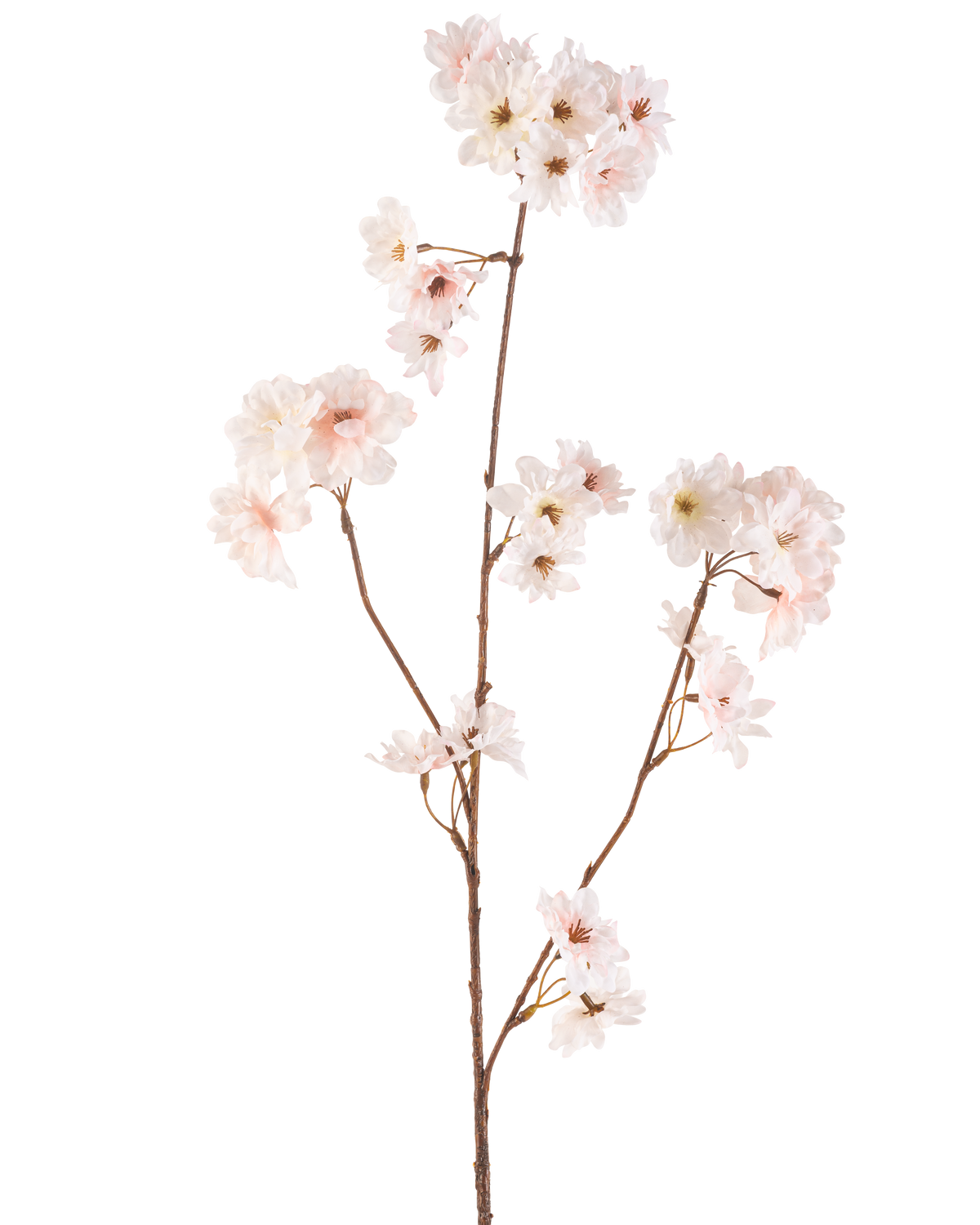 Die künstliche Blume Kirschblüte 85 cm in Rouge hat einen einzelnen braunen Stiel mit mehreren Zweigen, die jeweils mit zarten, blütenrosa Kirschblüten vor einem schlichten weißen Hintergrund verziert sind.