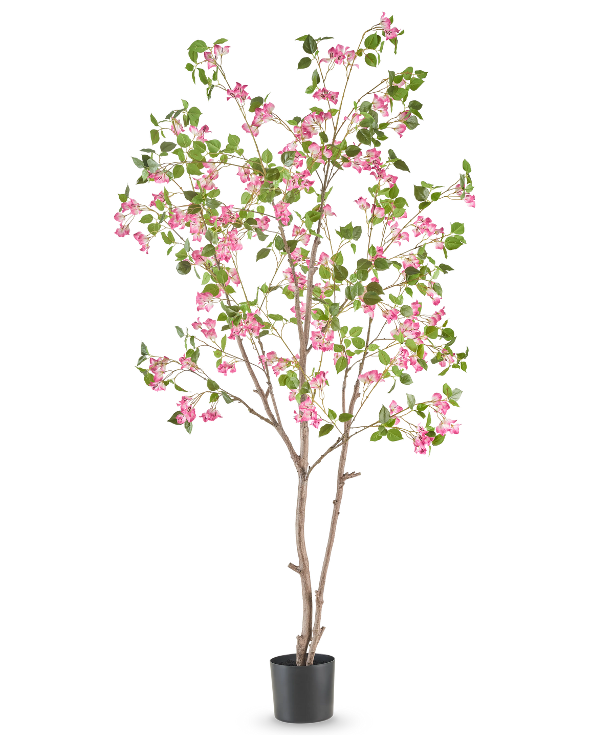 Die künstliche Bougainvillea 210 cm ist ein hoher Kunstbaum mit schlanken braunen Zweigen, grünen Blättern und leuchtend rosa Blütensträußen in einem schlichten schwarzen Topf vor weißem Hintergrund.