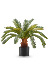 Die Kunstpflanze Cycas UV 60 cm hat lange, gebogene grüne Blätter und einen dicken, braunen Stiel mit Textur in einem schwarzen Topf vor einem weißen Hintergrund.