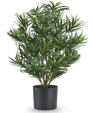 Künstliche Pflanze Podocarpus 47 cm, feuerhemmend, mit dünnen grünen Blättern in einem schwarzen Topf.