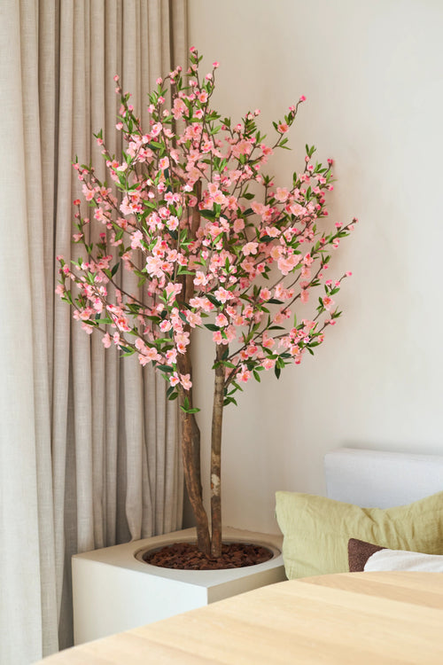 Die künstliche Kirschblütenpflanze 120 cm rosa mit ihren rosafarbenen Kirschblüten steht neben einem Holztisch in einem hellen, modernen Raum, dahinter ein beiger Vorhang und ein helles Sofa.