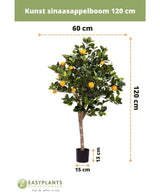 Der künstliche Orangenbaum 120 cm hat grüne Blätter und orangefarbene Früchte, befindet sich in einem kleinen schwarzen Topf (13 x 15 cm), ist 60 cm breit und wird mit niederländischem Text und EasyPlants-Logo geliefert.